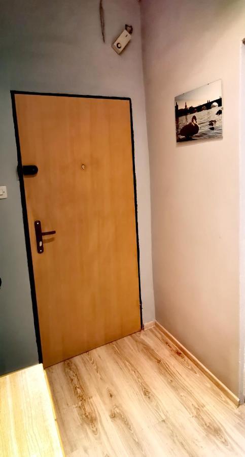 Apartament Milka W Dusznikach Zdroju Duszniki Zdrój 外观 照片