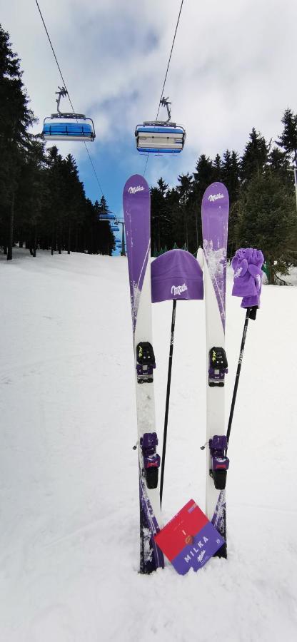 Apartament Milka W Dusznikach Zdroju Duszniki Zdrój 外观 照片