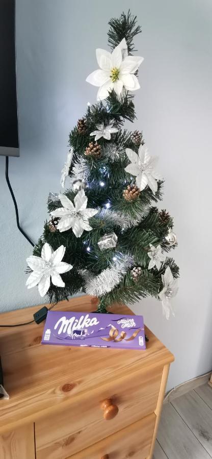 Apartament Milka W Dusznikach Zdroju Duszniki Zdrój 外观 照片